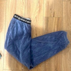 Alexander Wang sweat pants